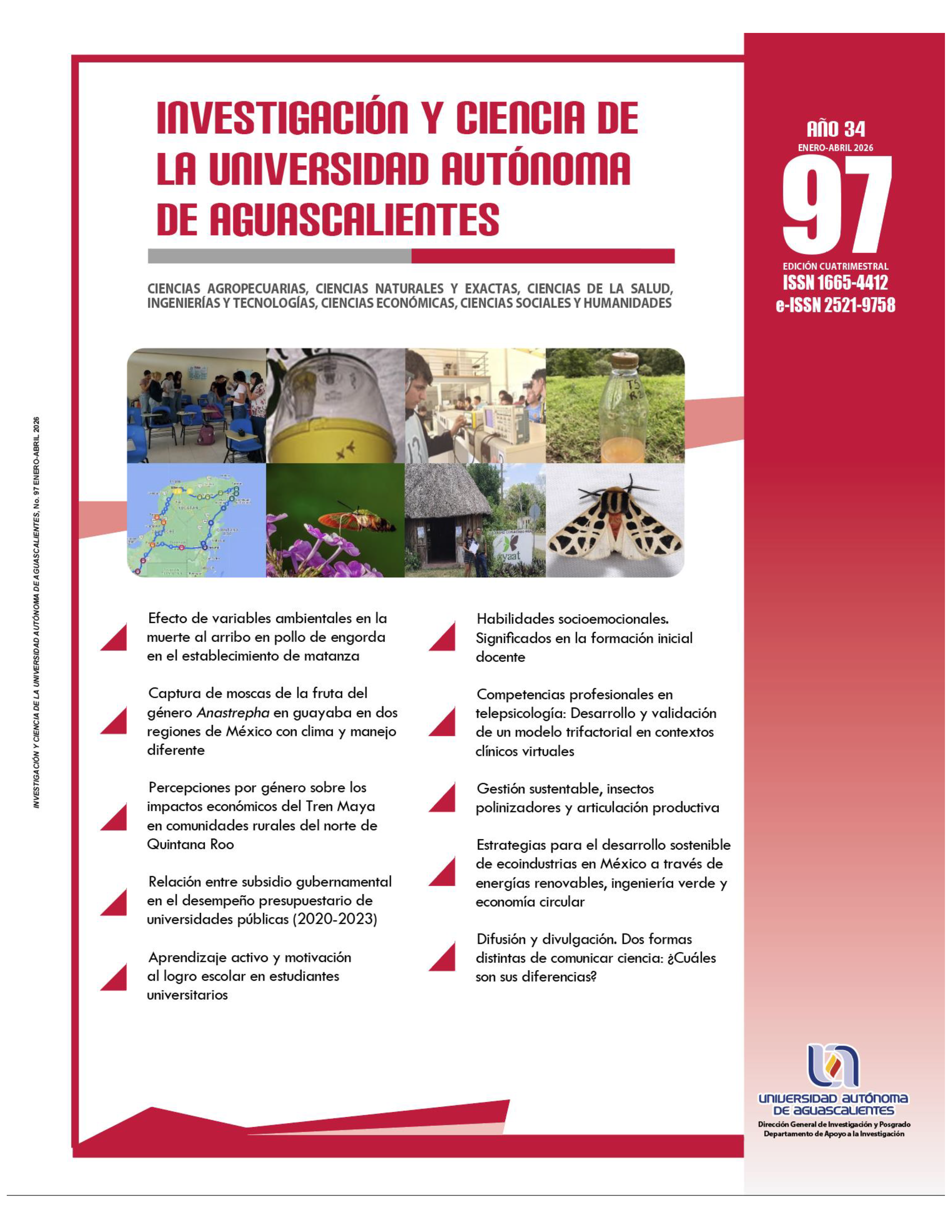 portada 97